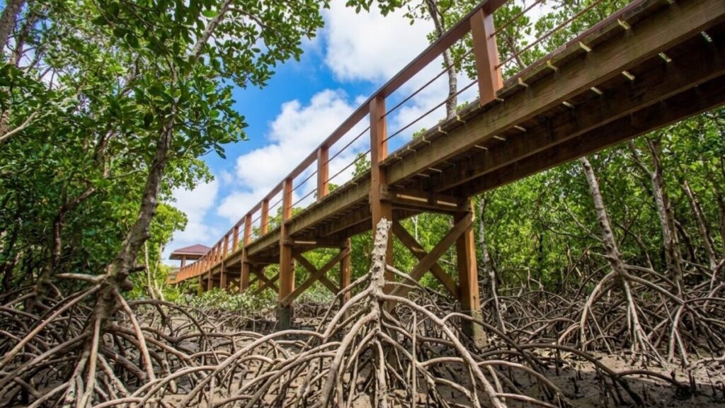 漫湖水鳥・湿地センターの画像