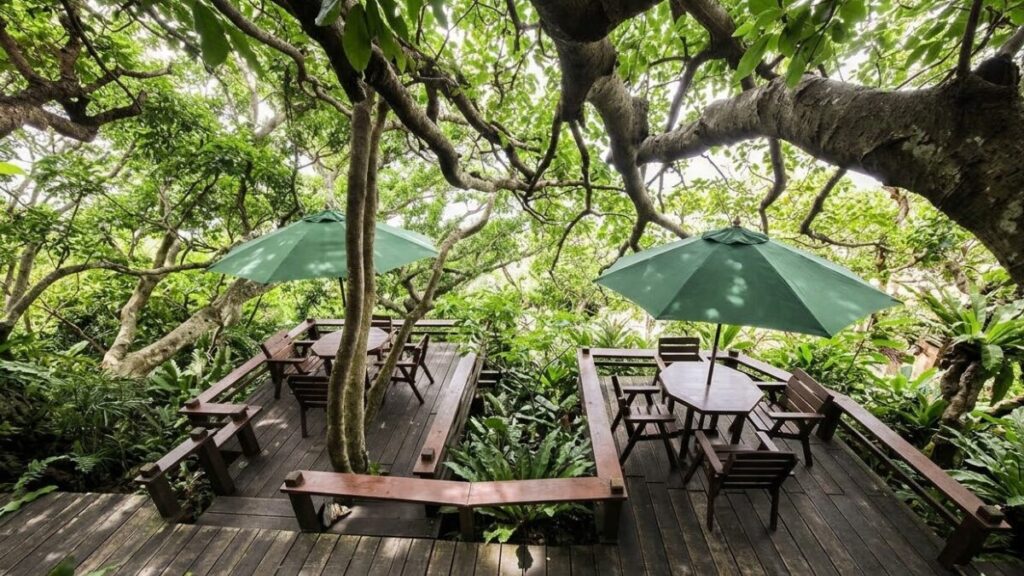 山の茶屋 楽水の画像